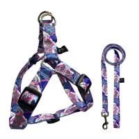 China 12.5kg Collar Lead Harness Set Blue Dog Harness Leash Set For Pet Animal on sale