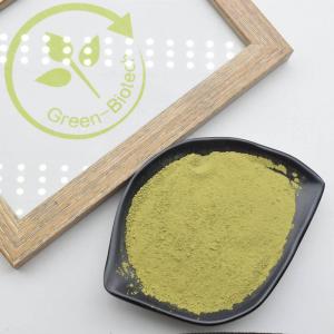 Superfine Matcha Natural Plant Extracts HACCP USDA AA Blood Pressure Reducing