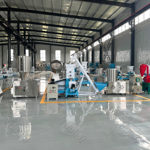 High Capacity Pet Feed Production Line for Producing Various Animal Feed Pellets Including Fish Shrimp Dog Poultry and Rabbit Feed