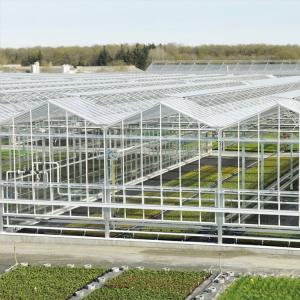 China 8mm Float Glass Venlo Glass Greenhouse Hydroponic System Double Layer supplier