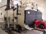 10 Ton Natural Gas Fired Steam Boiler