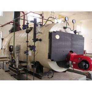 China 10 Ton Natural Gas Fired Steam Boiler supplier