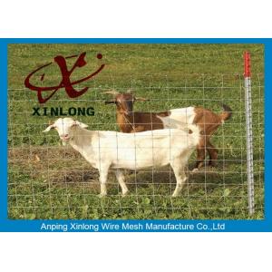 China Corrosion Resistance Welded Wire Livestock Panels With ISO9001 / 2008 Certificate supplier