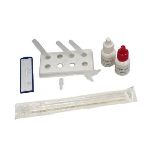 China Kit de teste para doenças infecciosas Strep A sangue total 40 testes/Kit CE supplier