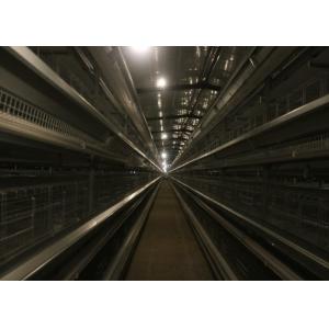 Full Automatic Broiler Chicken Cage System Easy Installation Poultry Shed Design