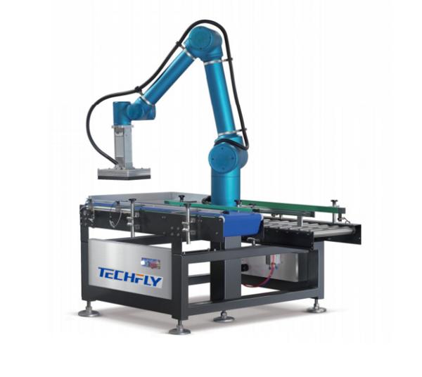 Transform Packaging Efficiency Advanced Robotics Automation Integration with Robot Carton Packer