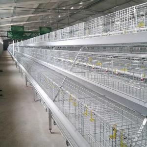 Corrosion Resistant Poultry Layer Cage , Durable Ground Bird Feeder Cage