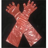 China Water Tight Disposable Plastic Gloves , LDPE Long Veterinary Gloves on sale