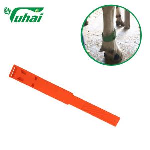 China PP Livestock Bands 36cmx4.2cm Colorful Leg Bands For Cow Or Cattle supplier