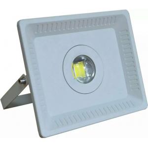 China 30W aluminium housing no driver led flood light bulbs outdoor supplier