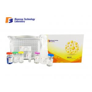 China 96 / 48 Wells Human Abcb1 Sandwich Elisa Kit With High Sensitivity / Specificity supplier