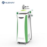 China Cryolipolysis vacuum cavitation rf slimming machine 4 handles cryolipolysis fat freezing machine on sale