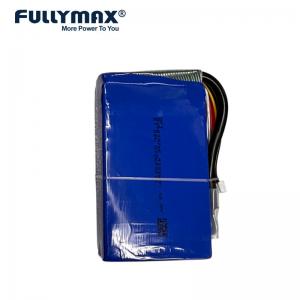 4500mAh 12.8V 40C 450A Auto Emergency Car Jump Starter Battery Pack Fullymax Battery For Sale