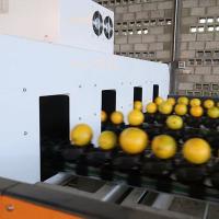 China Efficiency Redefined Orange Sorting Machine With AI Deep Learning Technology on sale