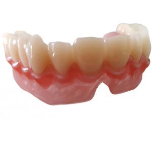 Realistic Digital Data OEM 3D Printed Dental Models For Dentist Study