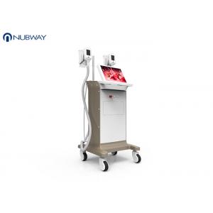 China -15oC low temperature cool sculpting cryoliplysis body slimming  weight loss machine supplier