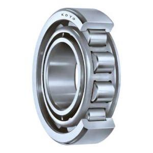 China Separable and double - row Cylindrical roller bearings for automotive applications supplier