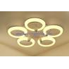 China 36W Indoor Decprative Iron Modern Ceiling Light LED Lamps wholesale