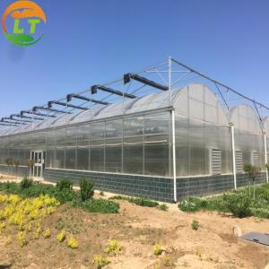 China Automatic Agricultural Multi-Span Film Greenhouses with Cooling Pad and Exhaust Fans supplier