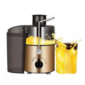 500ML Home Electric Blender Cold Press Masticating Juicer Machine