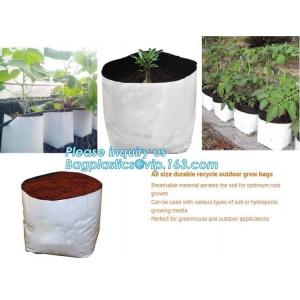 China Polyethylene Durable Jumbo Tree Planter Bags, Heavy Duty Growing Bags,Effective UV Stabilized Black White Plastic Growin supplier