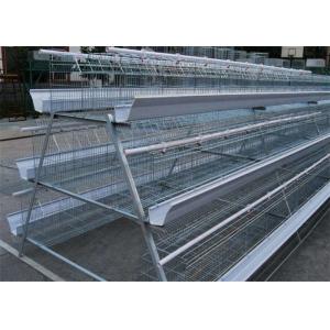 A Frame Egg Layer Chicken Cage 75kg Available For 96 Birds