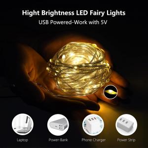 Waterproof 8 Function Battery Case Led Leather String Light For Holiday Decorations