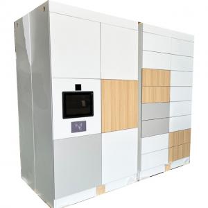 High Security Steel Storage Lockers Wooden Cabinet Lock Smart Parcel System Metal 12 Door