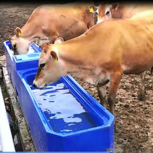 China Blue Color LLDPE Livestock Water Tank Length 4m Animal Water Trough supplier