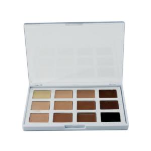 China Private Label Mineral Face Makeup Concealer Palette With Transparent Lid supplier