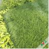 China Mix Field Olive Green Soccer Field Lawn with Three Stem and No Glare wholesale