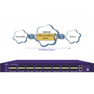 China GRE Tunneling Protocol With IPSec Ethereal Network Sniffer In NPB Protect Multicast Data supplier
