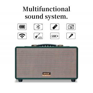 Black 70W V5.0 Bluetooth Portable Speaker With 2 Microphones and Handle