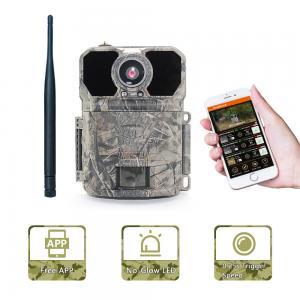 China Infrared Remote Control Hunting Cameras Outdoor Waterproof Tracking Camera supplier