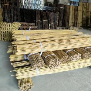 Colorful Raw Bamboo Canes Bamboo Poles For Garden Agriculture