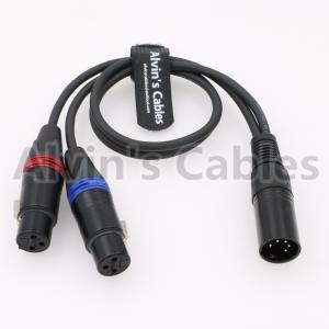 China Dual Track Audio Arri Power Cable XLR 5 Pin Male To 2 XLRs 3 Pin Female supplier