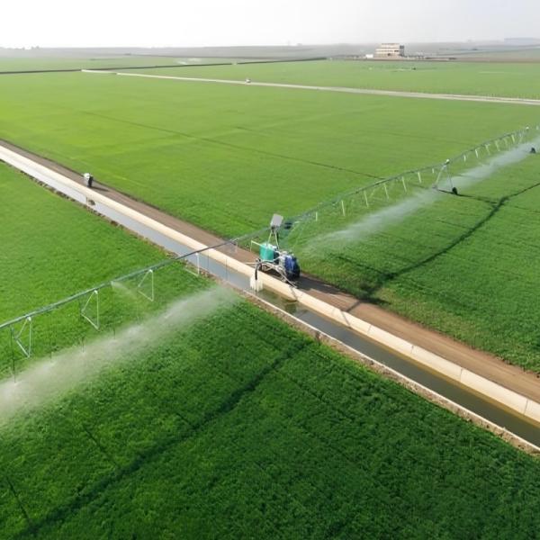Advanced Agriculture Water-Saving Linear Move Center Pivot Lateral Towing System for Movable Irrigation