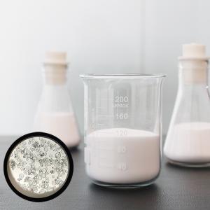 China HN60S Hollow Glass Microspheres 10-60 µm for Deep Sea Insulation Pipes wholesale