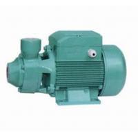 China Brass Impeller Domestic Water Booster Pump , 1.5HP Irrigation Water Pump on sale