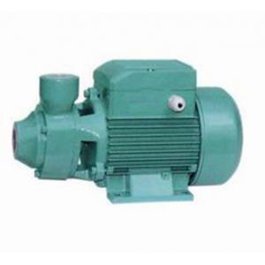 China Brass Impeller Domestic Water Booster Pump , 1.5HP Irrigation Water Pump supplier