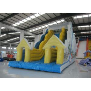 Snow Mountain Big Inflatable Water Slides , Amusement Park Commercial Grade Water Slide