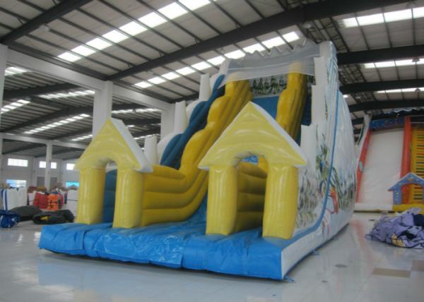Snow Mountain Big Inflatable Water Slides , Amusement Park Commercial Grade