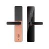 S819 Digital Smart Home Door Lock WiFi Enabled Tuya TTlock  & Fingerprint with Password Key Card Lock