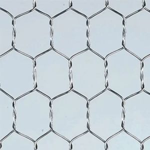 China High Grade New Design 2X1X1 High Zinc Coated Hot Dipped Galvanized Gabion Hexagonal Wire Mesh Stone Boxes wholesale
