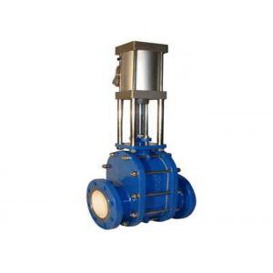 Double Gate Pneumatic Quick Closing Valve With Well - Selected Materials