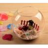 hand blow glass terrarium fish tank decoration glass container 10cm diameter and