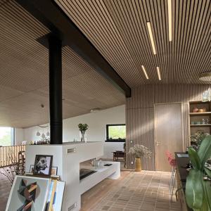 European standard 3D Interior Decoration slat Acoustic wooden Wall Panel