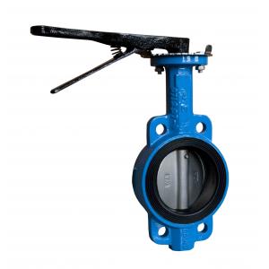 Round Rubber Fkm Seat , Seal Seat For Wafer / Lug / Concentric Butterfly Valve