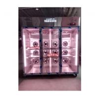 China Timer Freeze Thaw Chamber Cabinet with Automatic Defrosting Method on sale