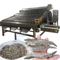 China SUS304 Practical Shrimp Sorting Machine , Anti Corrosion Prawn Grader on sale